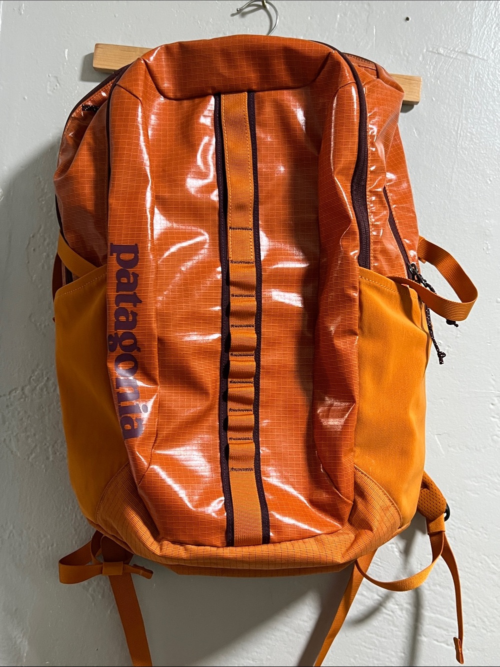 Patagonia black hole 30 liter backpack marigold